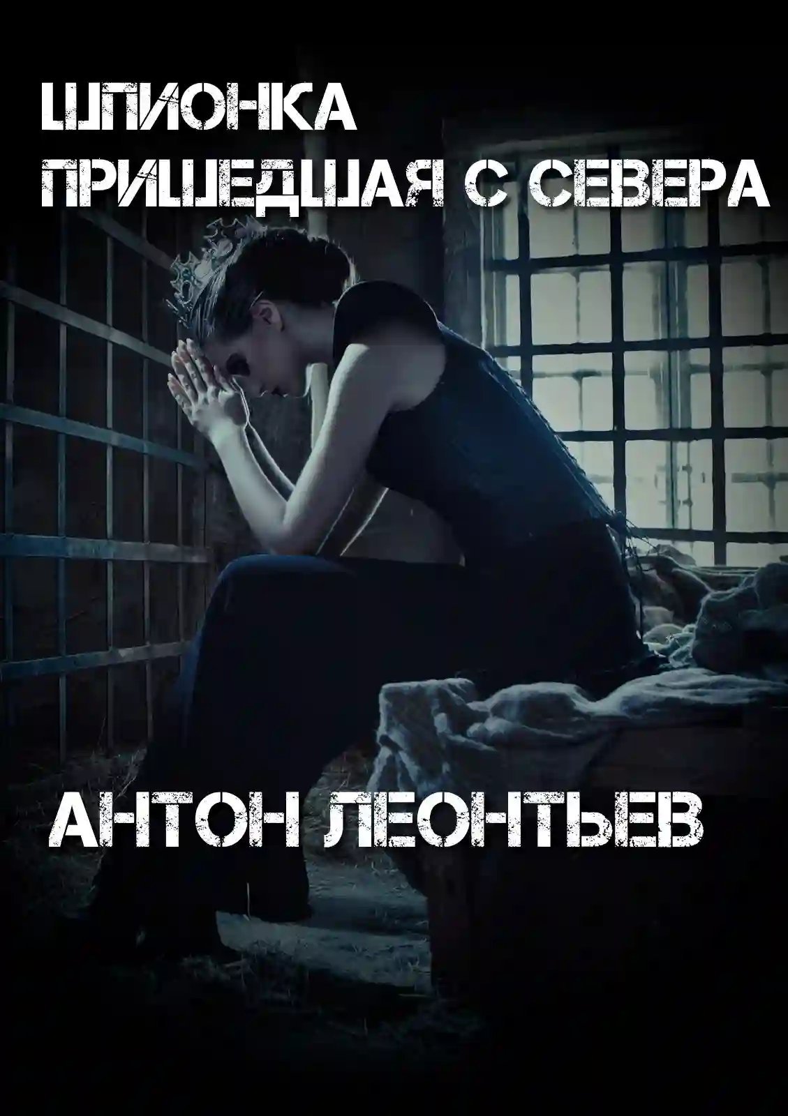 обложка аудиокниги Шпионка, пришедшая с севера