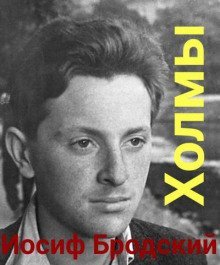 обложка аудиокниги Холмы