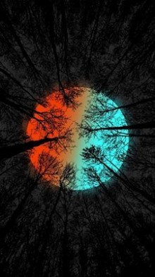 обложка аудиокниги Дом колдуна