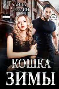 обложка аудиокниги Кошка Зимы