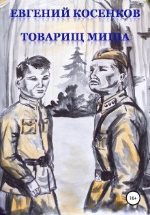 обложка аудиокниги Товарищ Миша