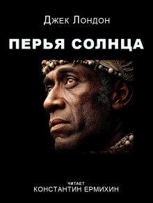 обложка аудиокниги Перья Солнца