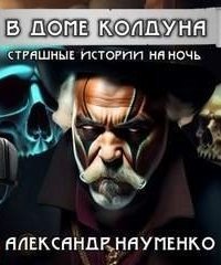 обложка аудиокниги В доме колдуна