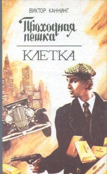 обложка аудиокниги Проходная пешка