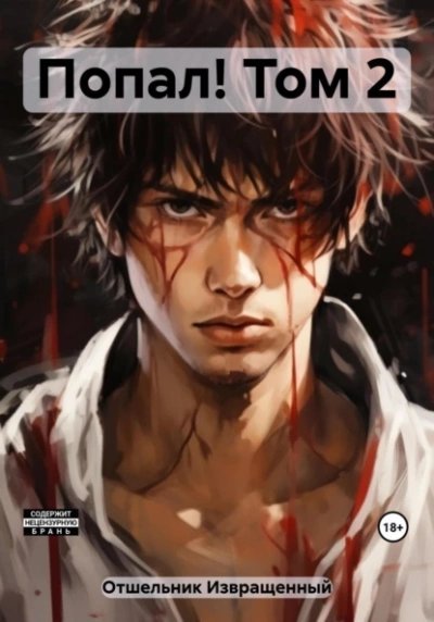 обложка аудиокниги Попал! Том 2