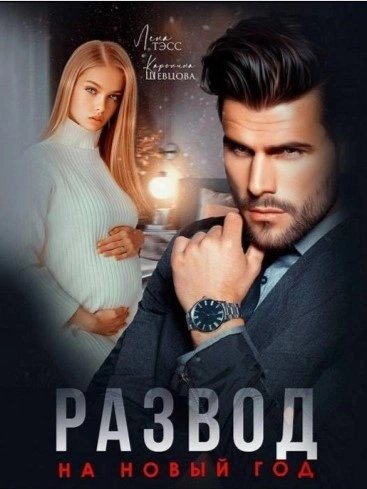 обложка аудиокниги Развод на новый год