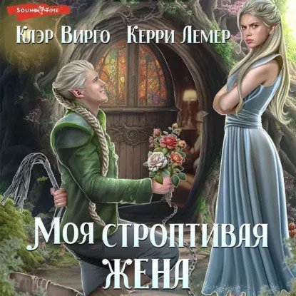 обложка аудиокниги Игры, в которые играют эльфы 2. Моя строптивая жена