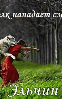 обложка аудиокниги Волк нападает сзади