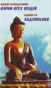 обложка аудиокниги Корни всех вещей