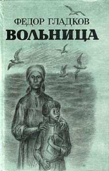 обложка аудиокниги Вольница