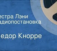 обложка аудиокниги Сестра Лэни