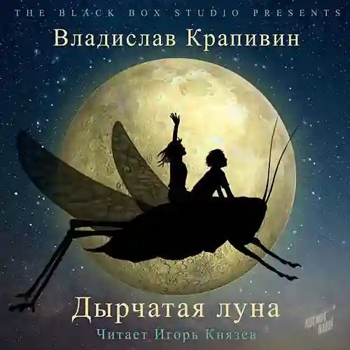 обложка аудиокниги Дырчатая Луна