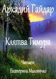 обложка аудиокниги Клятва Тимура