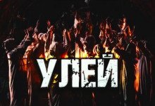 обложка аудиокниги Улей