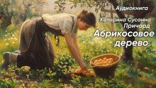 обложка аудиокниги Абрикосовое дерево