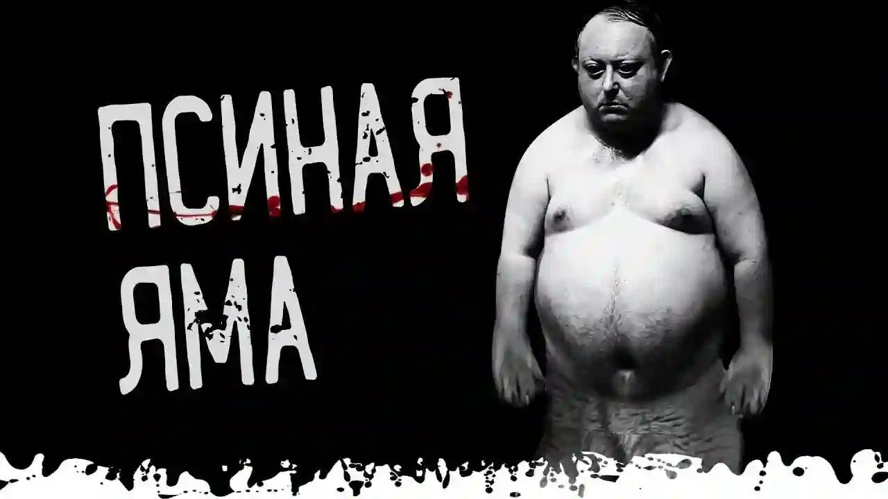 обложка аудиокниги Хорист