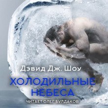 обложка аудиокниги Холодильные небеса