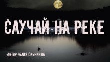 обложка аудиокниги Случай на реке