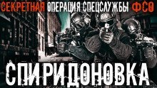 обложка аудиокниги Спиридоновка