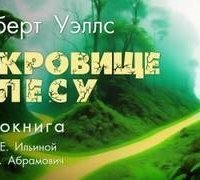 обложка аудиокниги Cокровище в лесу