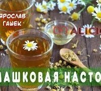 обложка аудиокниги Ромашковая настойка