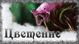 обложка аудиокниги Цветение