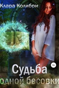 обложка аудиокниги Судьба одной бесовки