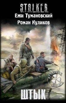обложка аудиокниги S.T.A.L.K.E.R. Штык