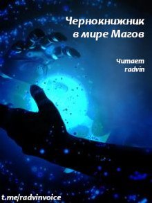 обложка аудиокниги Чернокнижник в мире Магов 1