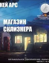 обложка аудиокниги Магазин Склизнера
