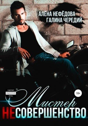 обложка аудиокниги Мистер (не)совершенство