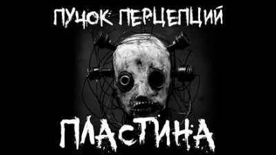 обложка аудиокниги Пластина