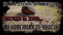 обложка аудиокниги Мгновенная вечность