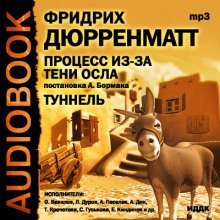 обложка аудиокниги Процесс из-за тени осла. Туннель