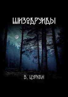 обложка аудиокниги Шизодруиды