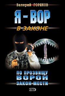 обложка аудиокниги По прозвищу Ворон. Закон мести