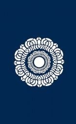 обложка аудиокниги Тайные общества Китая. Союз белого лотоса.