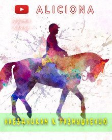 обложка аудиокниги Наездникам к размышлению