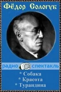 обложка аудиокниги Красота. Собака. Турандина