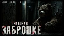 обложка аудиокниги Три ночи в заброшке