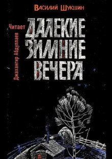обложка аудиокниги Далекие зимние вечера