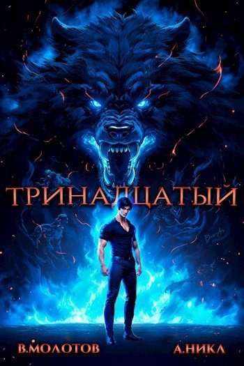 обложка аудиокниги Тринадцатый. Том IV