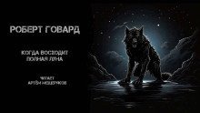 обложка аудиокниги Когда восходит полная луна