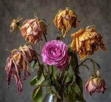 обложка аудиокниги Их на могилу стыдно положить