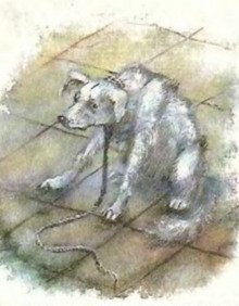 обложка аудиокниги Как в Париже судили собаку