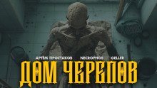 обложка аудиокниги Дом черепов