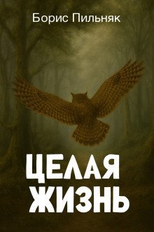 обложка аудиокниги Целая жизнь