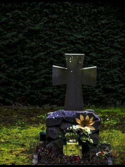 обложка аудиокниги Бабушкины цветы