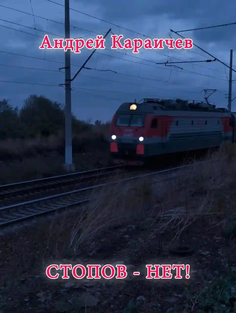 обложка аудиокниги Стопов - нет!