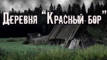 обложка аудиокниги Деревня «Красный бор»